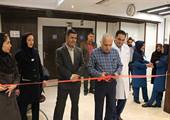 مطلب قبلی