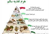 مطلب قبلی