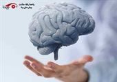مطلب قبلی