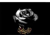 مطلب قبلی