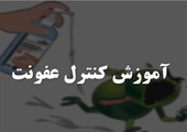 مطلب قبلی