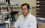 Dr.Hamidreza Torabi