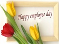 CEO Message to Congratulate employee's  day (26 Aug)